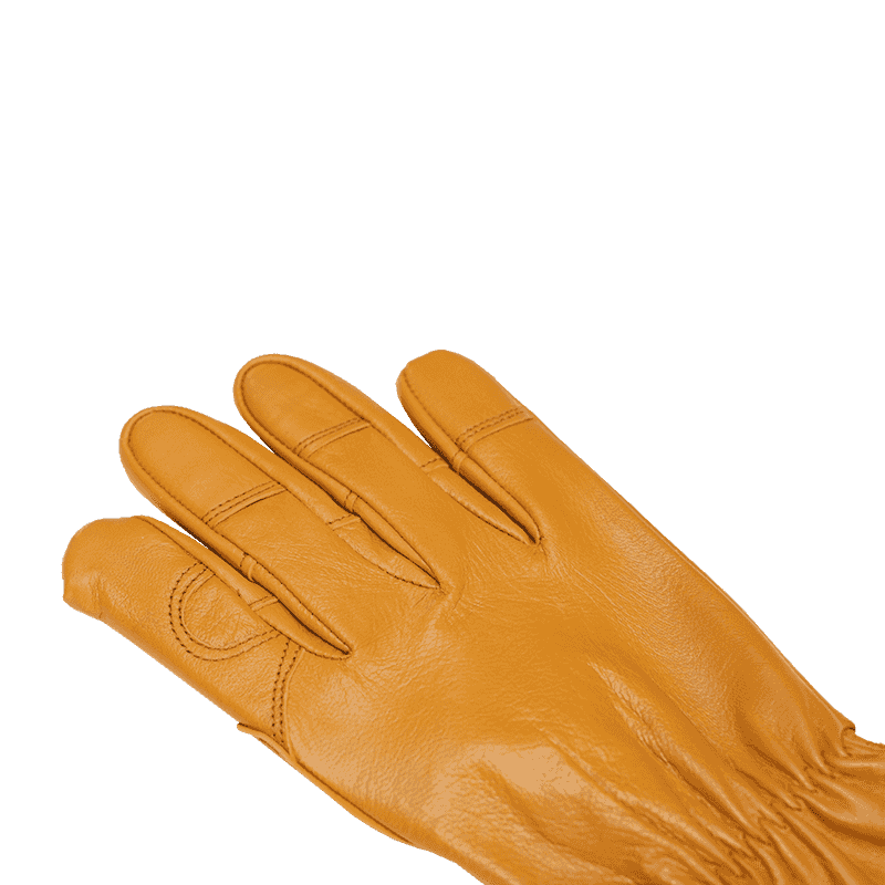 Goatskin Coegi Gloves