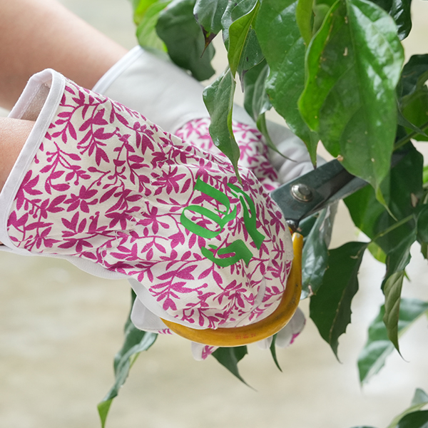Hortus Gloves